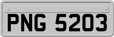 PNG5203