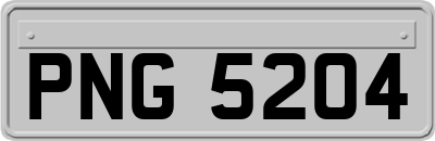 PNG5204