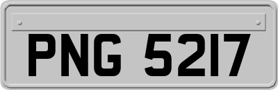 PNG5217