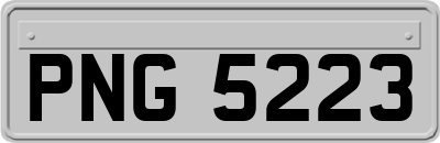 PNG5223