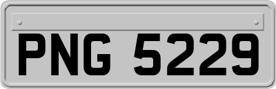 PNG5229