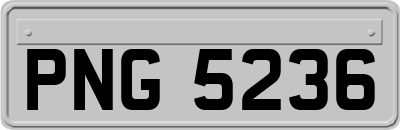 PNG5236