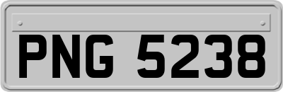 PNG5238