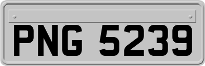 PNG5239