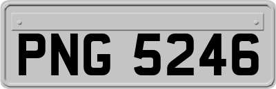 PNG5246