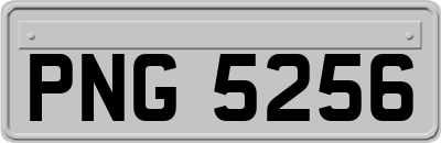 PNG5256
