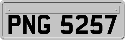 PNG5257