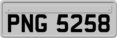PNG5258