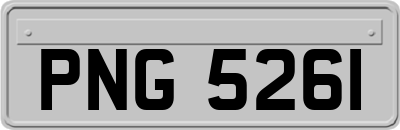 PNG5261