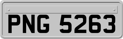 PNG5263