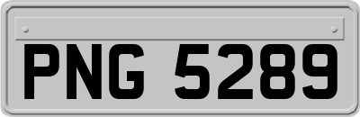 PNG5289