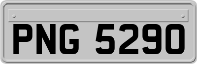 PNG5290