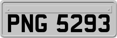 PNG5293