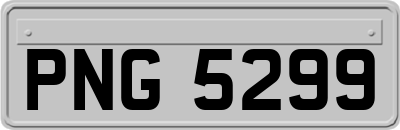 PNG5299