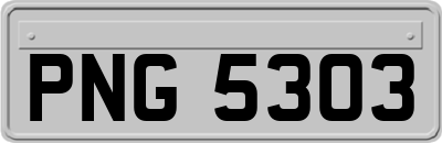 PNG5303