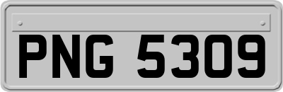 PNG5309
