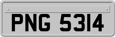 PNG5314