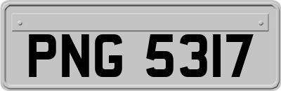 PNG5317
