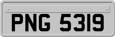 PNG5319