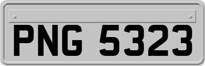 PNG5323