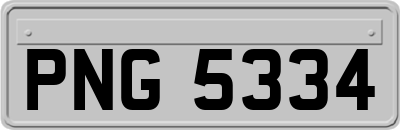 PNG5334