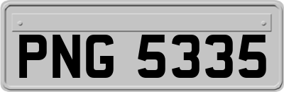 PNG5335