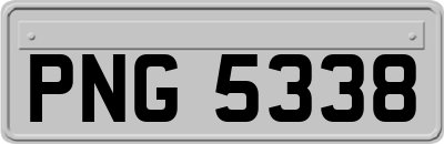 PNG5338