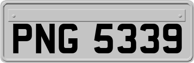PNG5339