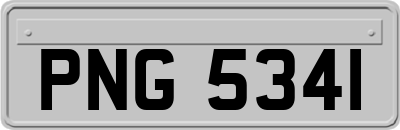 PNG5341