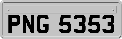 PNG5353