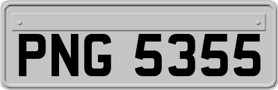 PNG5355