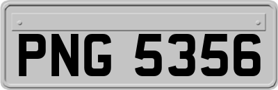 PNG5356