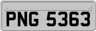 PNG5363