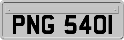 PNG5401