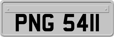 PNG5411
