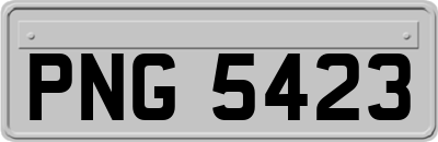 PNG5423