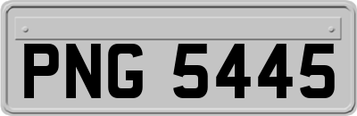 PNG5445