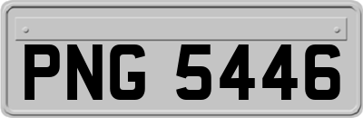 PNG5446