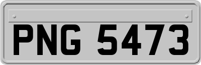 PNG5473