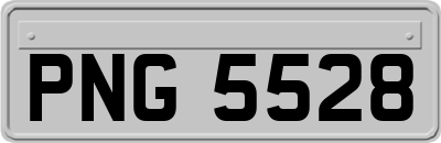 PNG5528