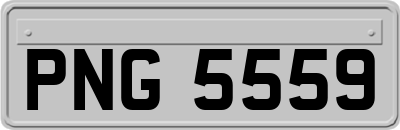 PNG5559