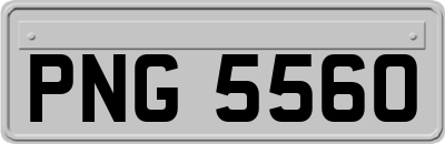PNG5560