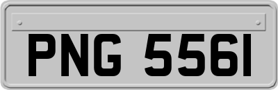PNG5561