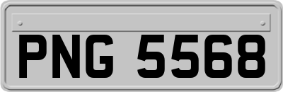 PNG5568