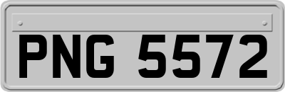 PNG5572