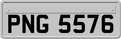 PNG5576
