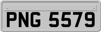 PNG5579