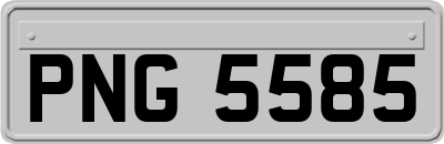 PNG5585