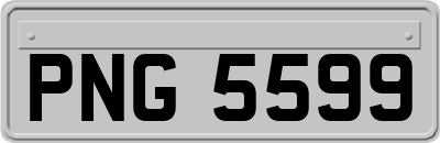 PNG5599