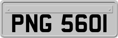 PNG5601